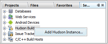 Add Hudson Instance...